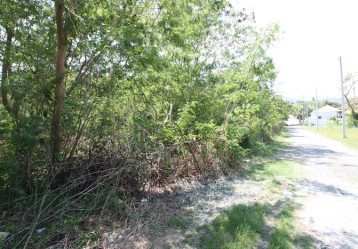 latest property