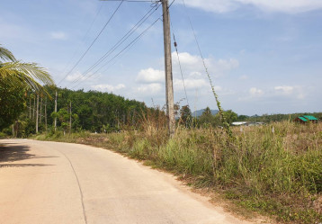latest property