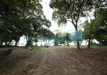 latest property