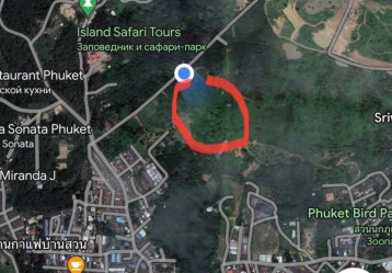 latest property