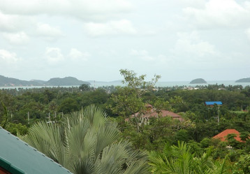latest property