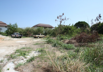latest property