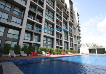 latest property