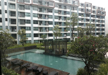 latest property