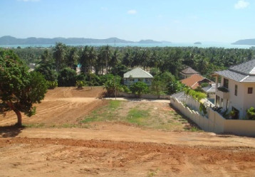 latest property