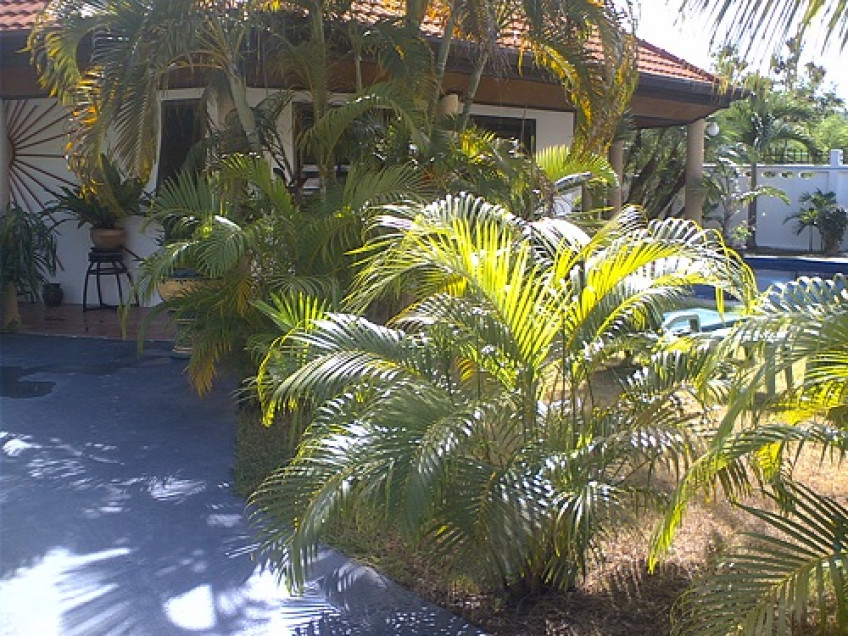 Image HNHV023 8