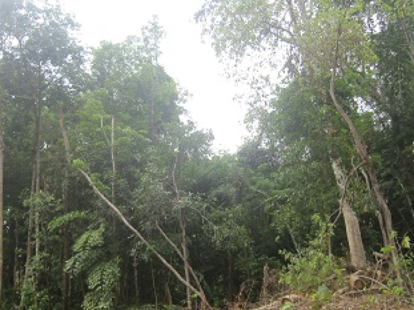 Image LKL73 1