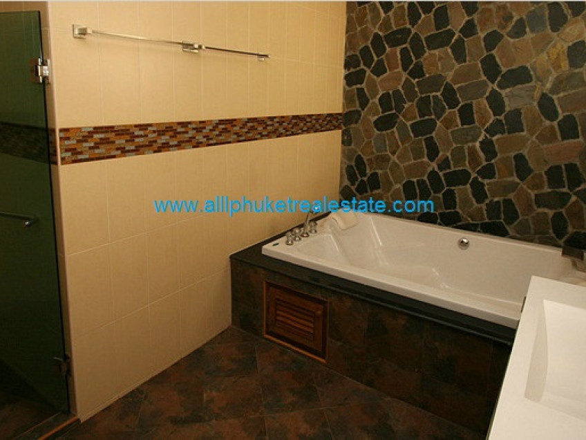 Image HCLV315 10